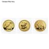 Chinese 1/20 oz Gold Panda Proof/Unc (Random Year, Sealed)