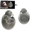 2024 Chad 2 oz Silver Baby American Eagle High Relief Coin .999 Fine