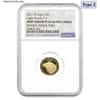 2021-W 1/10 oz $5 Proof Gold American Eagle Type 2 NGC PF 69 Mint Error (Rev Struck Thru)