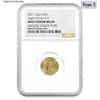 2021 1/10 oz Gold American Eagle Type 2 NGC MS 69 Mint Error (Obv Struck Thru)