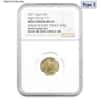 2021 1/10 oz Gold American Eagle Type 2 NGC MS 69 Mint Error (Minor Rev Struck Thru)