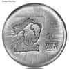 10 oz Silver Generic Round .999 Fine