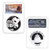 2019 China 30 gram Silver Panda 3-Coin Set NGC MS 70