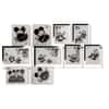 2020 China 10 x 4 gram Silver National Treasure Panda Stamp Set