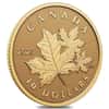 2023 Canada 1/20 oz Gold Everlasting Maple Coin .9999 Fine