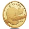 2023 Canada 1/20 oz The Curious Marten Proof Gold Coin
