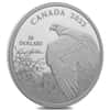 2023 Canada 2 oz Silver Vantage Point - Bald Eagle Coin