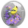 2024 Canada 1 oz Silver Colorful Birds - American Goldfinch Coin
