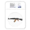 2024 Chad 2 oz Silver Assault Rifle Black & Gold NGC MS 70 ER One of First 100