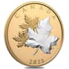 2025 Canada 5 oz Maple Leaves in Motion Silver Coin .9999 Fine