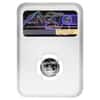 1999 W 1/10 oz $10 Platinum American Eagle Proof Coin NGC PF 70 UCAM