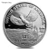 1/4 oz Proof Platinum American Eagle (Abrasions, Random Year) 