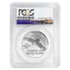 2017 1 oz Platinum American Eagle PCGS MS 70 First Strike