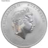 1/2 oz Silver Coin Random Mint (Milky, Scruffy, Toned)