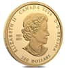 2024 Canada 1 oz Transcendence and Tranquility Canada's Diversity Gold Coin (Turquoise)