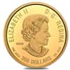 2021 Canada 35 gram Proof Gold Coin The Caribou - Wildlife Portraits .99999 Fine (w/Box & COA)