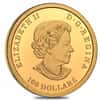 2022 Canada 1/2 oz Proof Gold Lunar Year of The Tiger RCM Coin .9999 Fine (w/Box & COA)