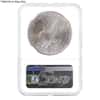 2021 1 oz Silver American Eagle Type 2 NGC MS 69 ER Eagle Label Mint Error (Obv Struck Thru)