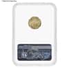 2021 1/10 oz Gold American Eagle Type 2 NGC MS 69 Mint Error (Minor Rev Struck Thru)