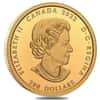 2022 Canada 1 oz Gold Culture and Traditions Canada's Diversity Coin .9999 Fine (w/Box & COA)