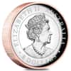 2022 5 oz Proof High Relief Gilded Silver Australian Koala Perth Mint .9999 Fine (w/Box & COA)