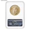 2021 1 oz Gold American Eagle Type 2 NGC MS 69 Mint Error (Rev Struck Thru)