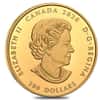 2020 Canada 1 oz Proof Gold Forevermark Black Label Round Diamond Coin .99999 Fine (w/Box & COA)