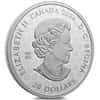 2024 Canada 1 oz Transcendence and Tranquility Canada's Diversity Silver Coin (Turquoise)