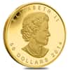 Five Blessings 2014 1 oz Gold Canadian Coin 