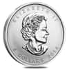 Five Blessings 2014 1 oz Silver Canadian Coin