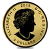 2015 1/10 oz Gold Canadian Maple Leaf E=mc2 Privy NGC PF 70