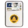 2017 15 Gram Chinese Gold Panda 200 Yuan NGC MS 69 Early Releases