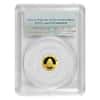 2017 1 Gram Chinese Gold Panda 10 Yuan PCGS MS 69 First Strike