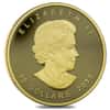 2013 1/4 oz $10 Canadian Proof Gold Polar Bear .9999 Fine (In Cap)