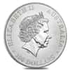 Australia 1 oz Platinum Platypus Scruffy (Random Year)