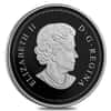 2015 1 oz Platinum Canadian Grizzly Bear $300 Proof Coin (w/Box & COA)