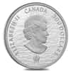 2013 1 oz Platinum Canadian Shannon and Chesapeake $300 Proof Coin (w/Box & COA)