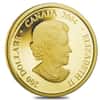 2004 $200 Canadian Alfred Pellan Fragments Proof Gold Coin AGW .4716 oz (w/Box & COA)