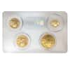 2004 1.85 oz Gold American Eagle 4-coin Set PCGS MS 70 Multi Holder