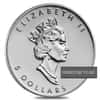 1/10 oz Platinum Canadian Maple Leaf Coin BU (Random Year)