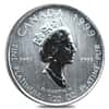 1999 1/20 oz Platinum Canadian Polar Bear $1 Coin BU