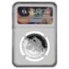 2005 W 1 oz $100 Platinum American Eagle Proof Coin NGC PF 69 UCAM