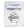 2018-W 1 oz Proof Platinum American Eagle - Life - PCGS PF 69 FS