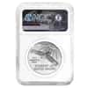 2018 1 oz Platinum American Eagle NGC MS 69 Early Releases