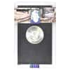 1882-CC Morgan Silver Dollar $1 NGC BU GSA
