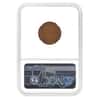 1909-S VDB Lincoln Wheat Penny 1 Cent NGC F 12 BN