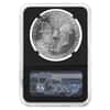 1989 1 oz Silver American Eagle NGC MS 70 (Moy)