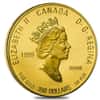 1999 Canada 1.22 oz Proof Gold Golden Slipper Coin .99999 Fine