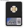 1/10 oz $5 Gold American Eagle NGCX MS 9.9 (Random Year)