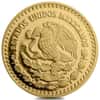 1/2 oz Mexican Onza / Libertad Proof Gold Coin Scruffy (Random Year)